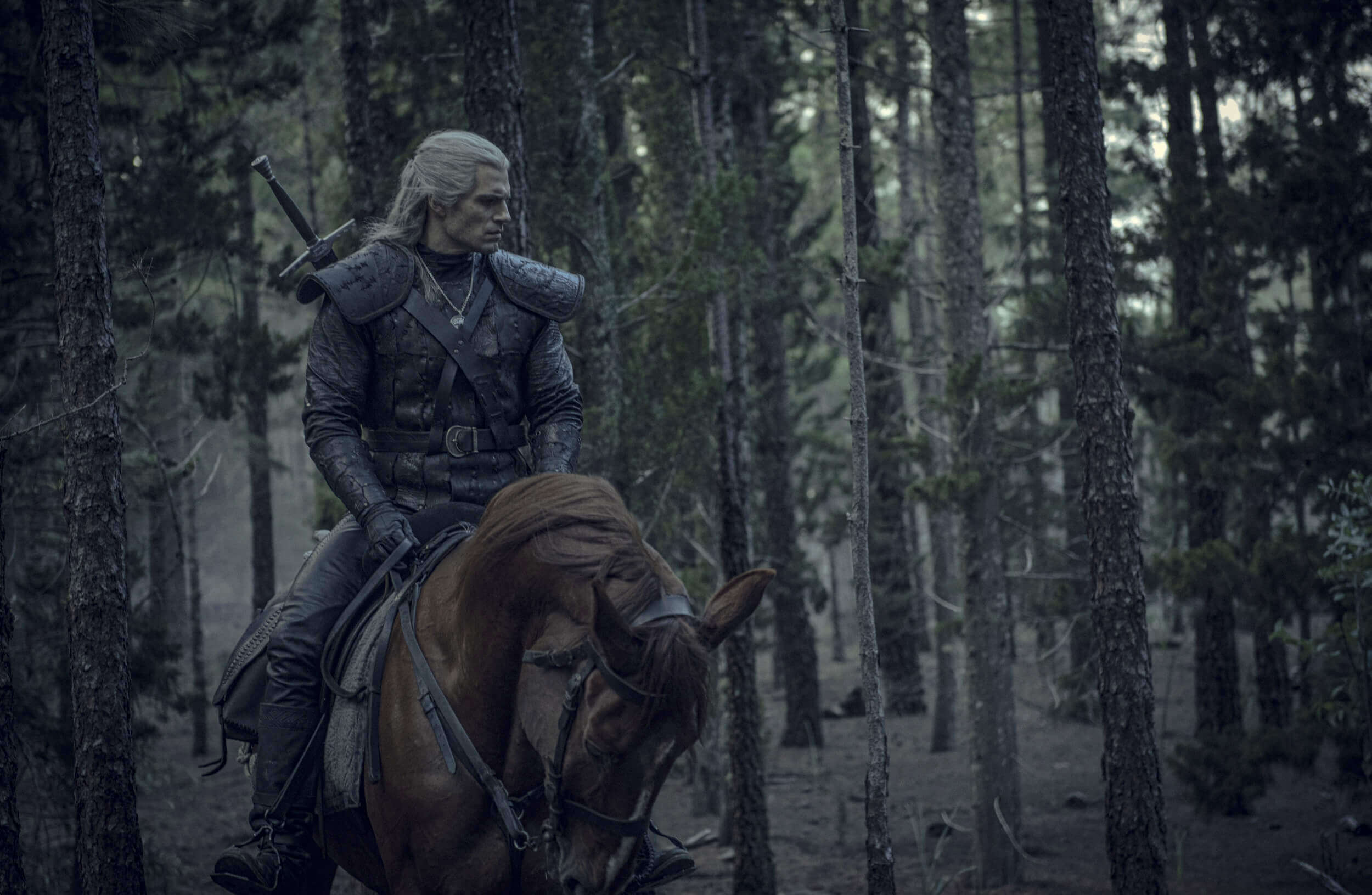 'The Witcher' Book Series Getting Massive New Print Run